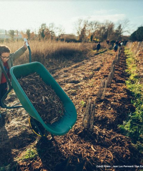 Engager la jeune génération dans la transition agroécologique par la plantation d’arbres